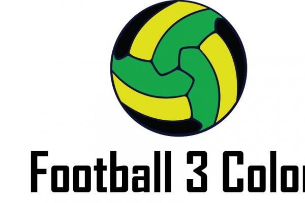 Logo 13